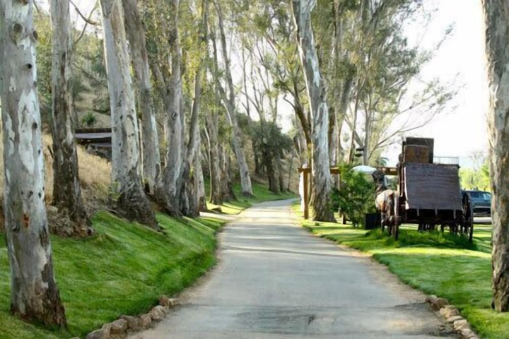 Bandy Canyon Ranch