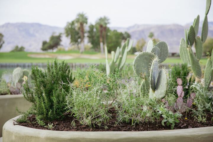 JW Marriott Desert Springs Resort & Spa