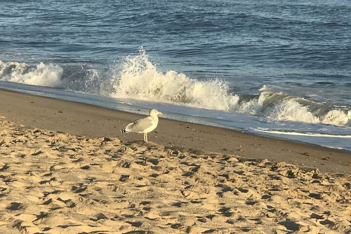Beach 80 of 122