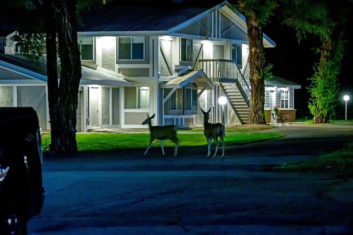 Hotel 6 of 109