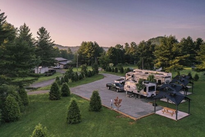 The Pineola