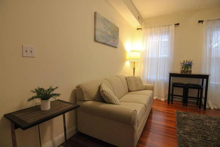 Stylish 1BR in Malden #3