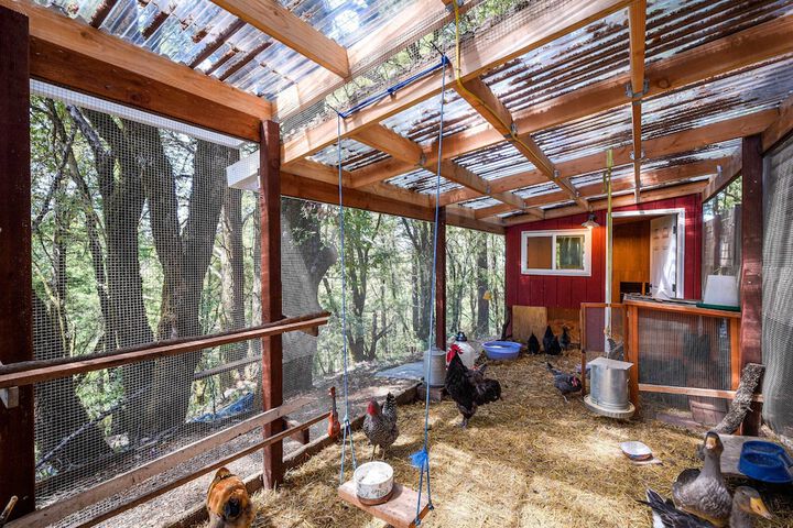 Mountain Homestead: Swim Hike, & Camp On-site!