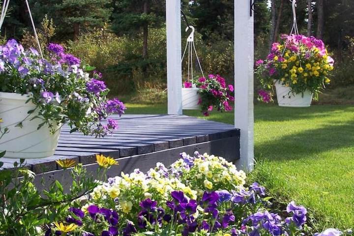 Denali Primrose B & B