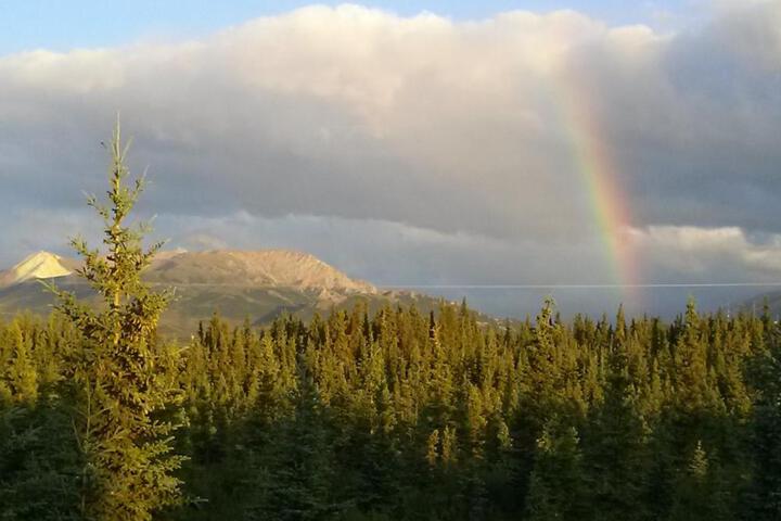 Denalis Alaskan Spruce Cabins