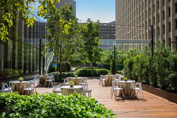 C. Baldwin Curio Collection by Hilton
