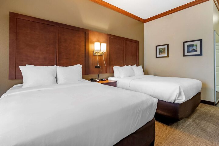 Comfort Inn & Suites Statesboro - University Area