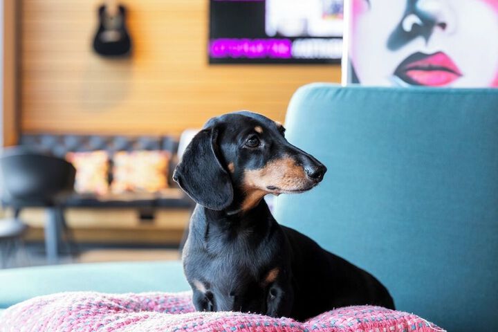 Hotel Interior 10 of 67