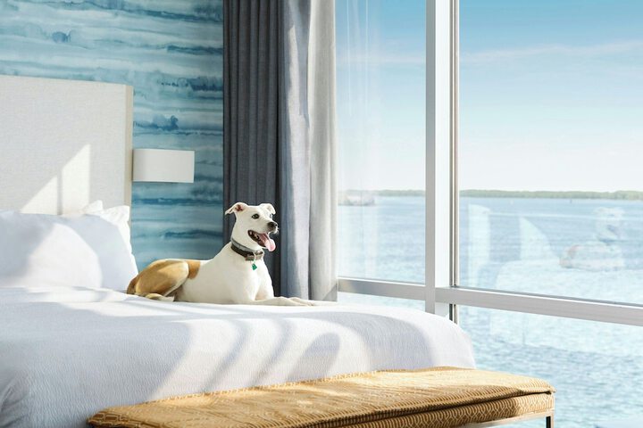 Courtyard by Marriott Erie Bayfront