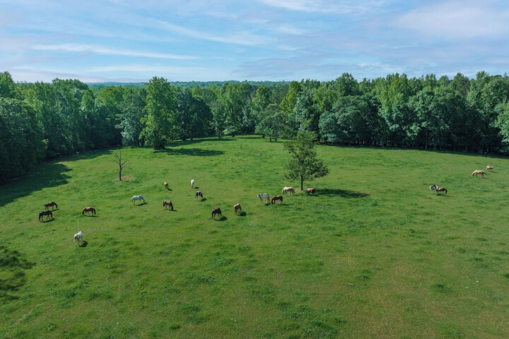 Southern Cross Guest Ranch
