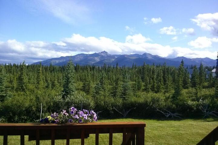 Denalis Alaskan Spruce Cabins