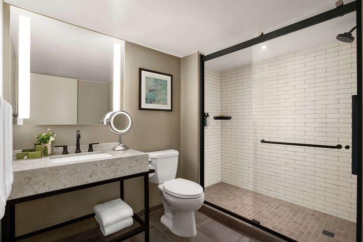 Hotel Alba Tapestry Collection by Hilton