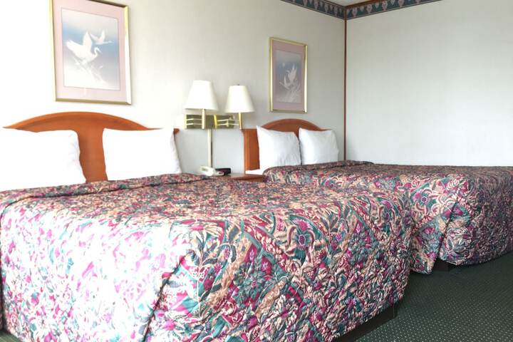 Room 41 of 54
