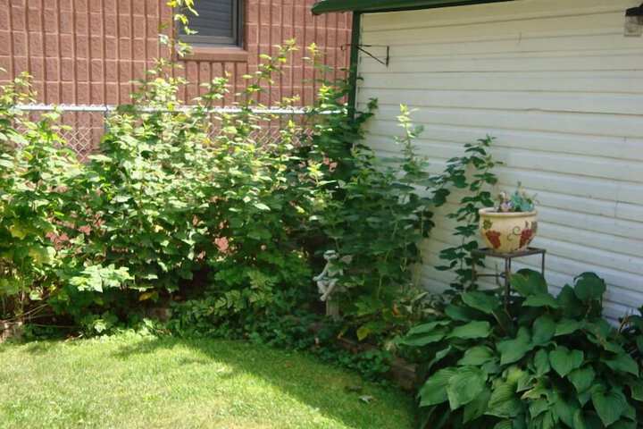 Property Grounds 26 of 26