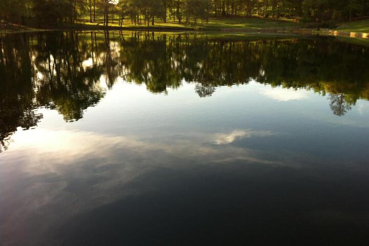 Dogwood Springs Lodgings