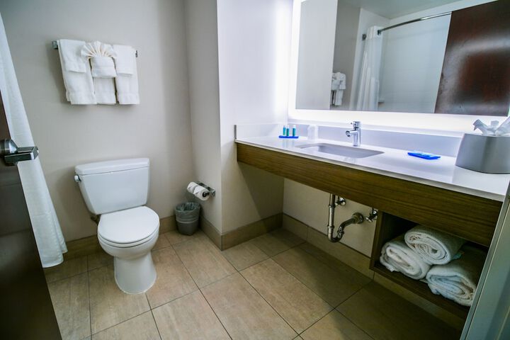 Holiday Inn Express Hotel & Suites a Baton Rouge-Port Allen by IHG