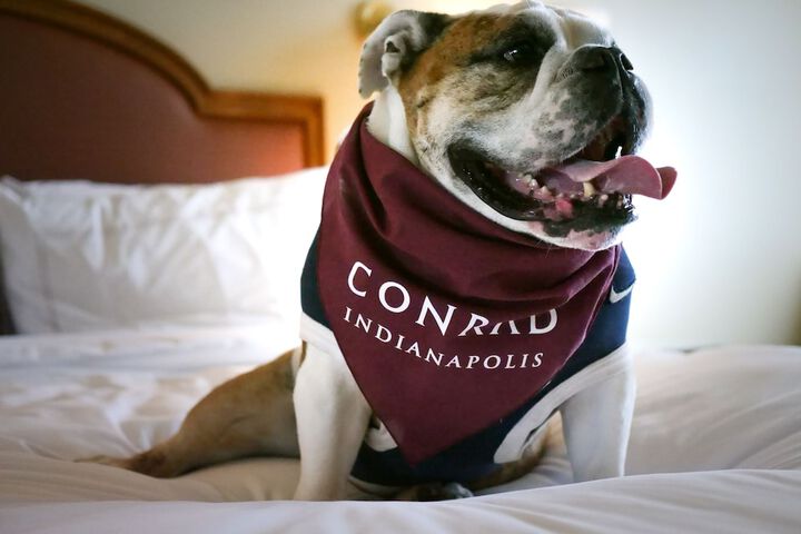 Conrad Indianapolis