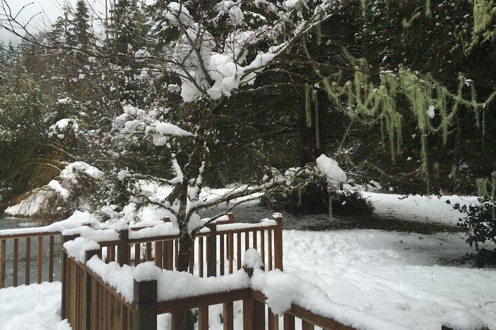 Alexanders Lodge