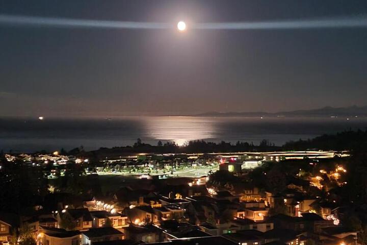 Stunning Ocean View Modern 1 BDR Private Entry Suite