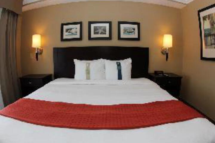 Suite 12 of 29
