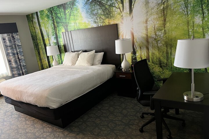 Room 42 of 57