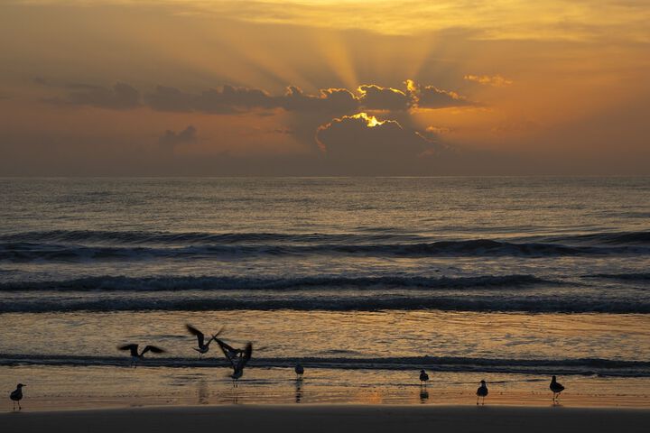 Hilton Daytona Beach Oceanfront Resort