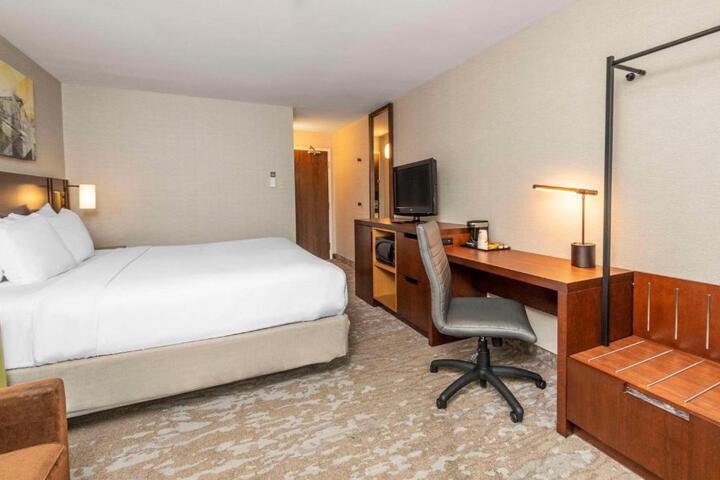 Comfort Inn South