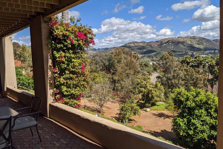Buena Creek Vista Primary Subdivided Home with Views and Pool