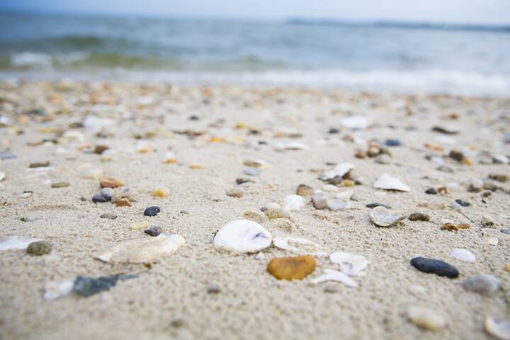 Beach 98 of 152