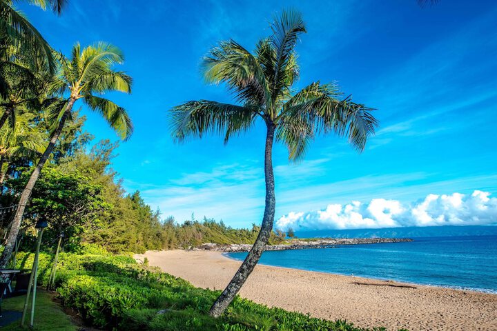 The Ritz-Carlton Maui Kapalua