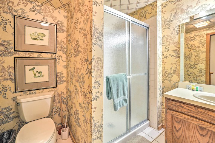 Bellaire Resort Condo: Ski Tube, Explore!