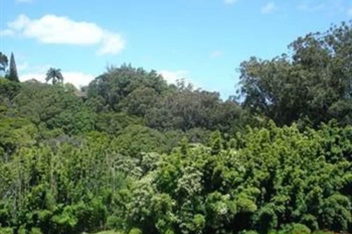 Bamboo Valley Inn