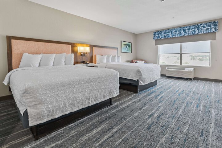 Hampton Inn & Suites Selma-San Antonio-Randolph AFB Texas