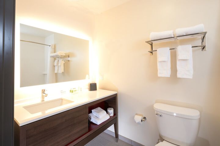Holiday Inn Kalamazoo West by IHG