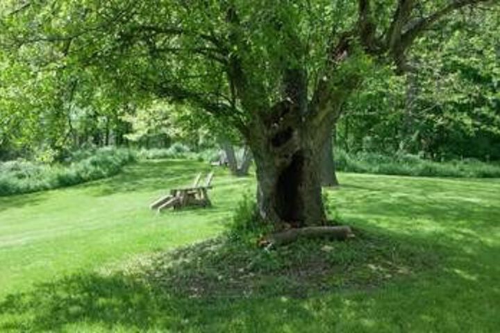 Wagener Estate Bed & Breakfast