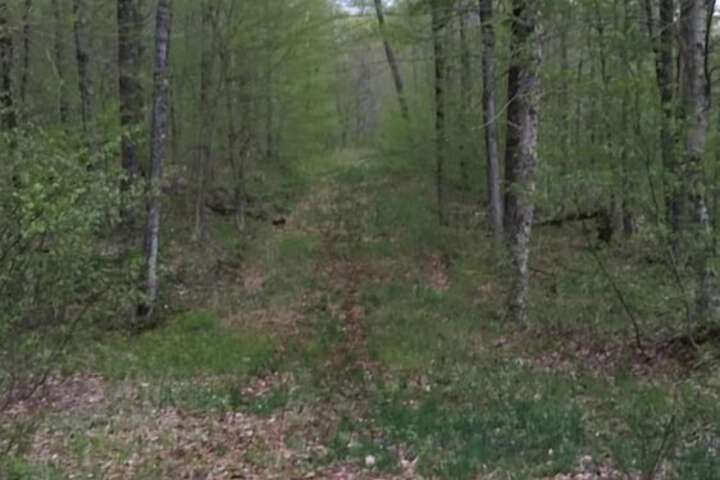 Property Grounds 55 of 64