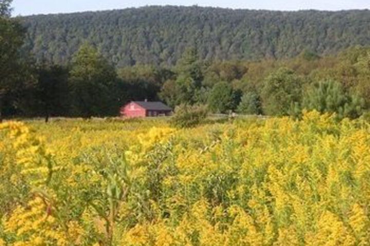 Mountain Horse Farm
