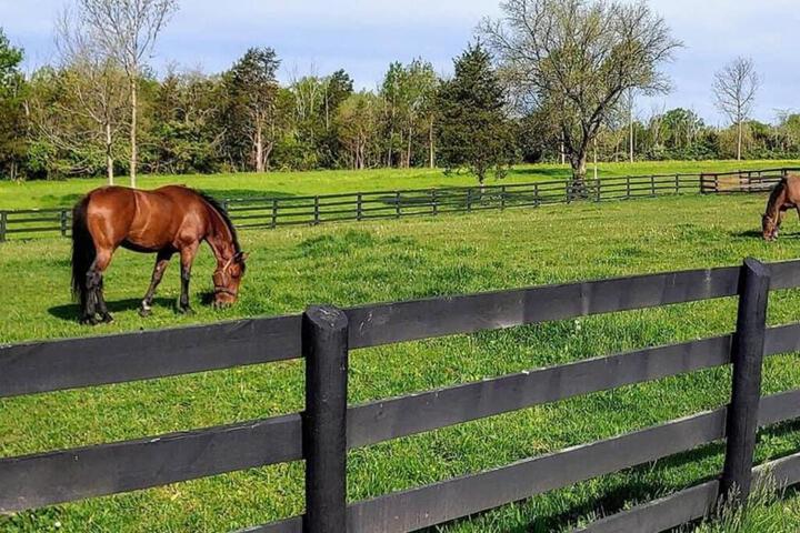 102 Acre Pet Friendly Horse Farm! Bring your horse too!