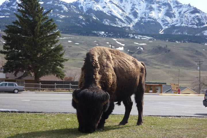 Yellowstone Gateway Inn
