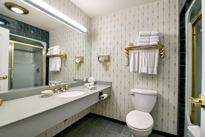 Roosevelt Inn and Suites Saratoga Springs