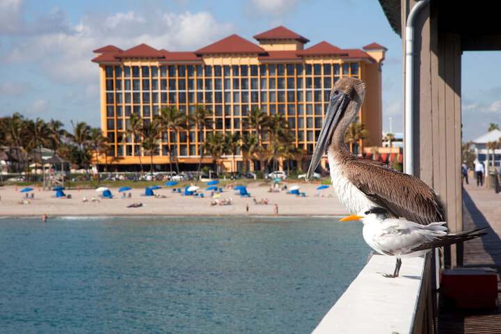 Wyndham Deerfield Beach Resort
