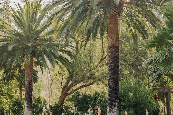 Bandy Canyon Ranch