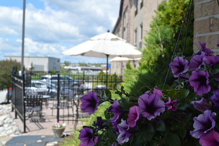 Terrace/Patio 51 of 52