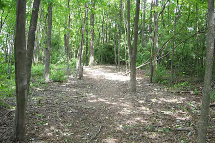 Property Grounds 23 of 23