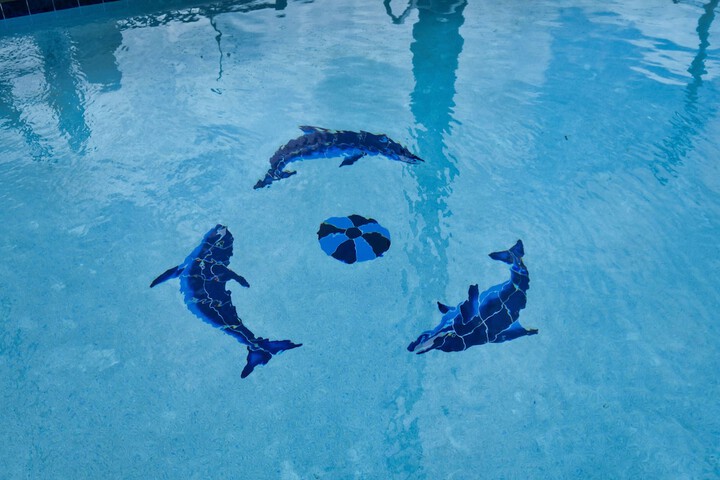Pool 6 of 26