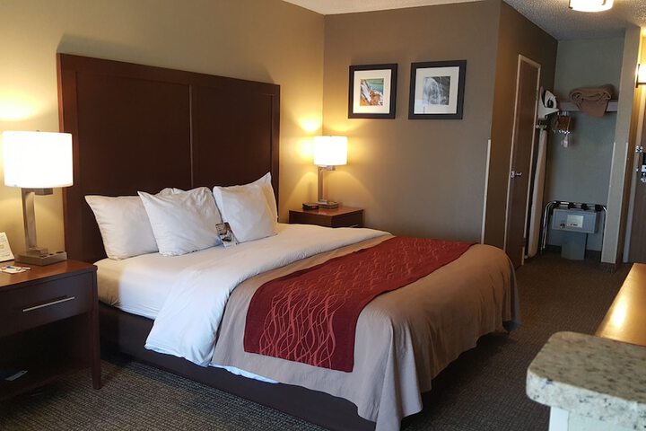Comfort Inn Idaho Falls