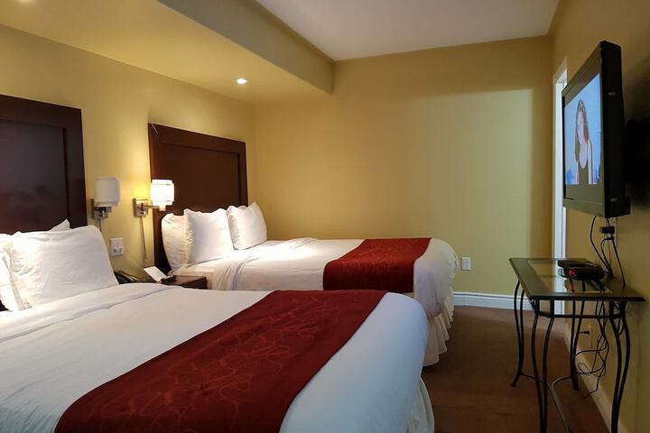 Room 41 of 52