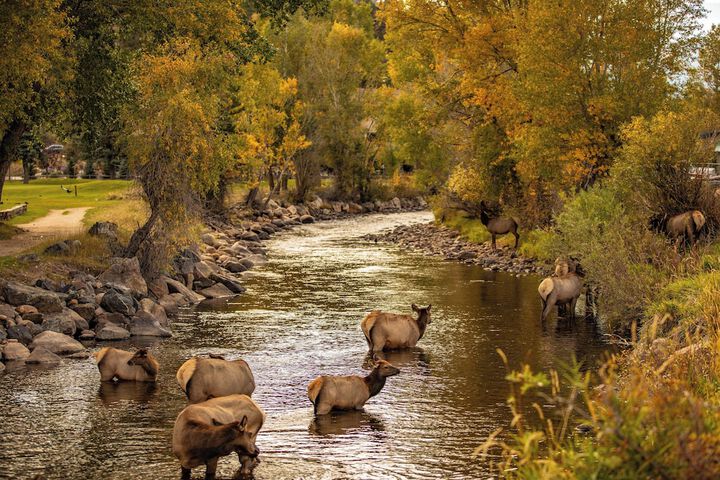 Holiday Inn Estes Park by IHG