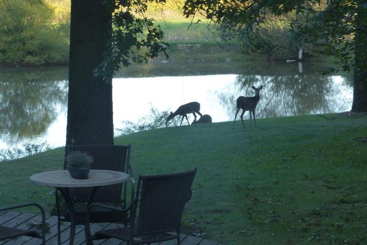 The Inn at White Oak