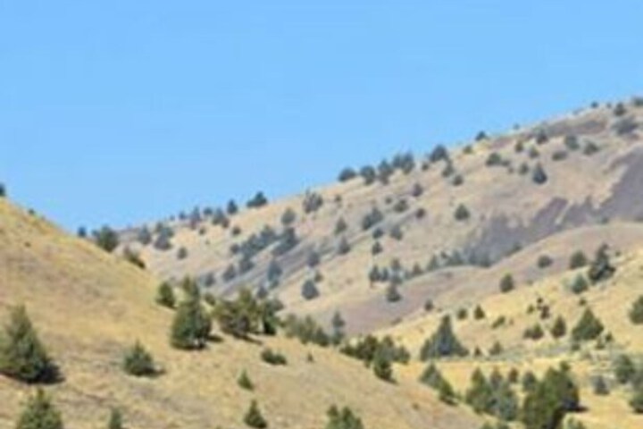 Wilson Ranches Retreat